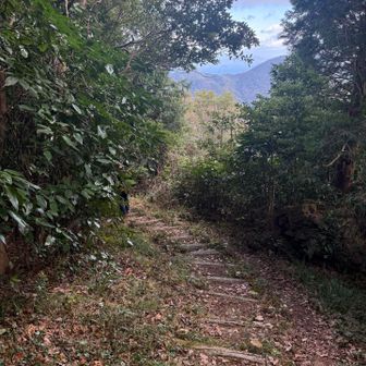 整備された登山道。
瀬戸内西アルプスも整備されていましたけど…大変でした。