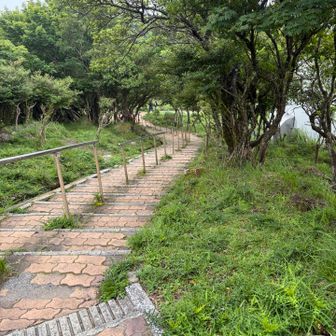 歩きやすくていい道です✨