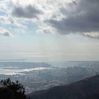 やっと視界が開けた