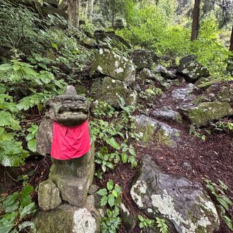 本殿への道も荒れています。狛犬さんは、ユーモラスなお顔で、角❓があります。