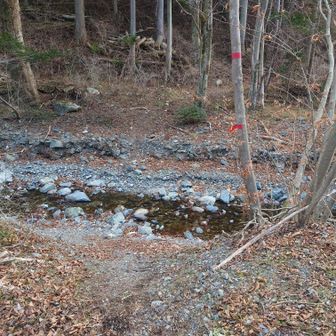 ここを渡ります。増水時は塗れるかも