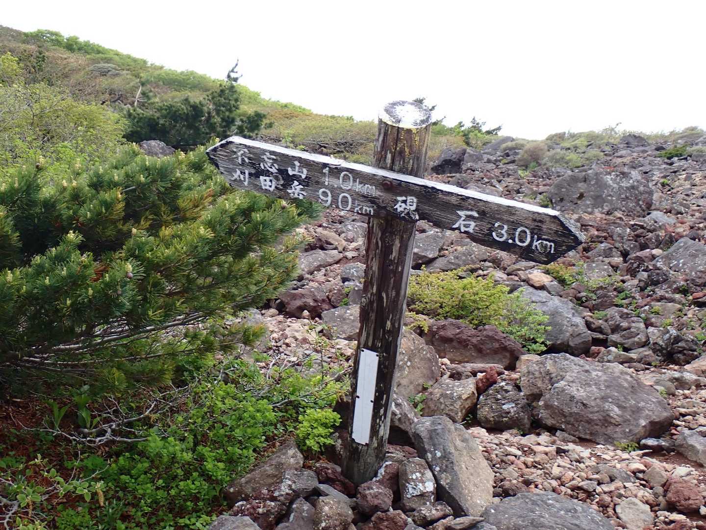 不忘山まであと1km
まだそんなにあるのか😅

このあたりから爆風へ