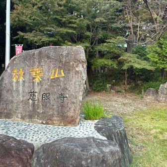 グレーピーク11
秋葉山56m
駐車場あり
山頂標識不明、三角点不明