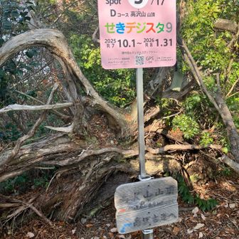 そして高沢山の山頂に到着。🙌
デジスタのポイント3ヶ所目です。
手続きを完了させます。