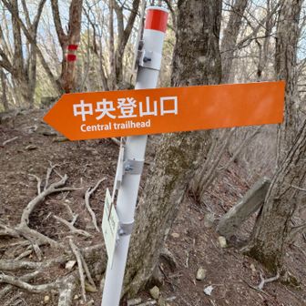 中央登山口へ下山します