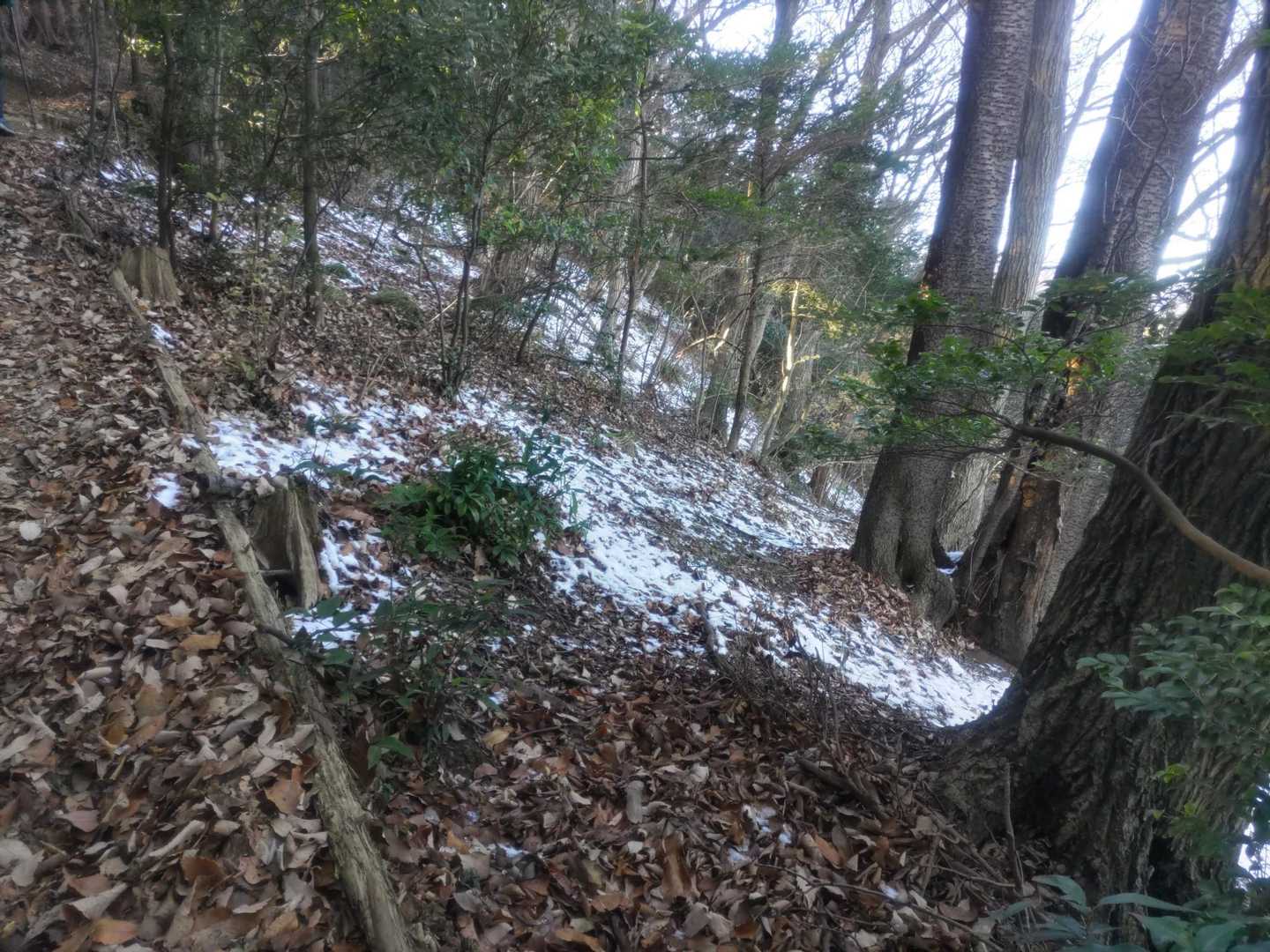 日影の斜面には少し雪が残っていますね。