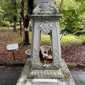 水飲み場