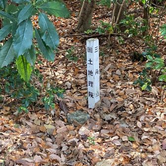 相生山山頂 相生山四等三角点（標高51.6m）