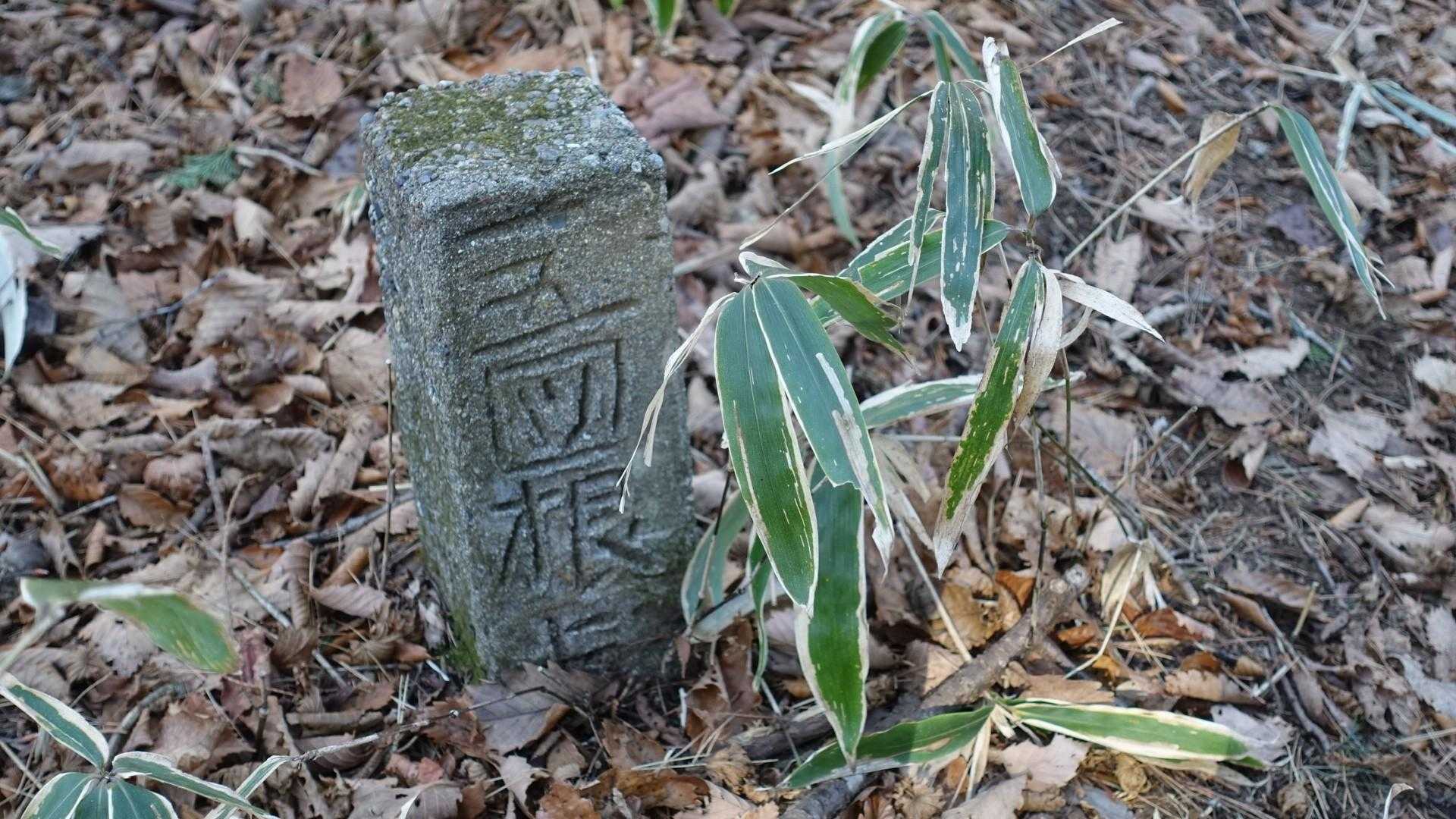 山では珍しい境界杭がありました。
後で調べてみると、これは図根点(ずこんてん)という境界杭で、地籍図を作成するのに用いられるものだそうです。