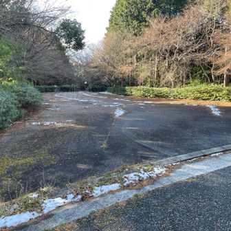 広い駐車場🅿️