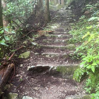 続くよ階段