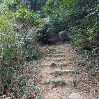 始まったぞ🥾ˊ˗