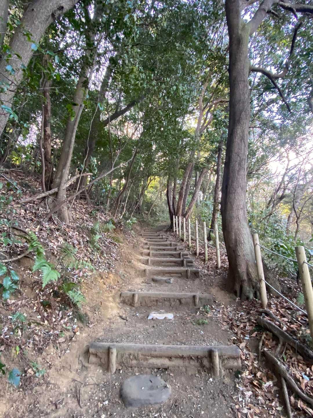 整備された登山道