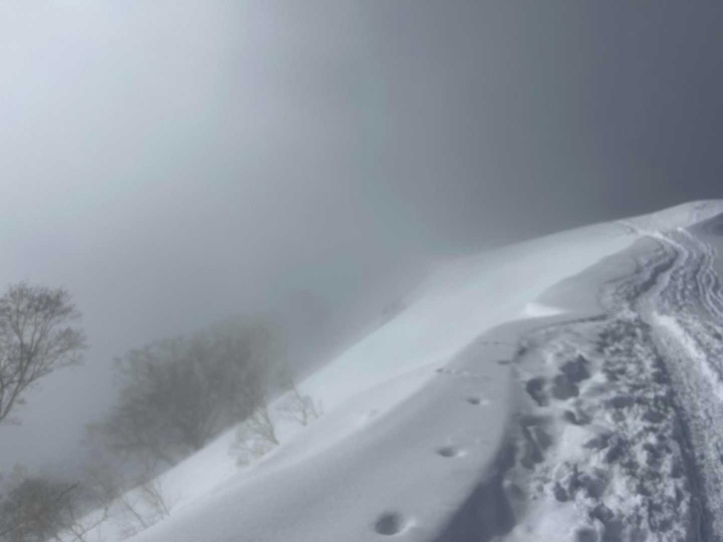 地蔵の頭-二ノ背髪-小遠見山-五竜登山口-中遠見山-五竜テ 縦走コースの写真