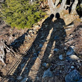影が長くなってきました👥
敬慎院に戻ります！
