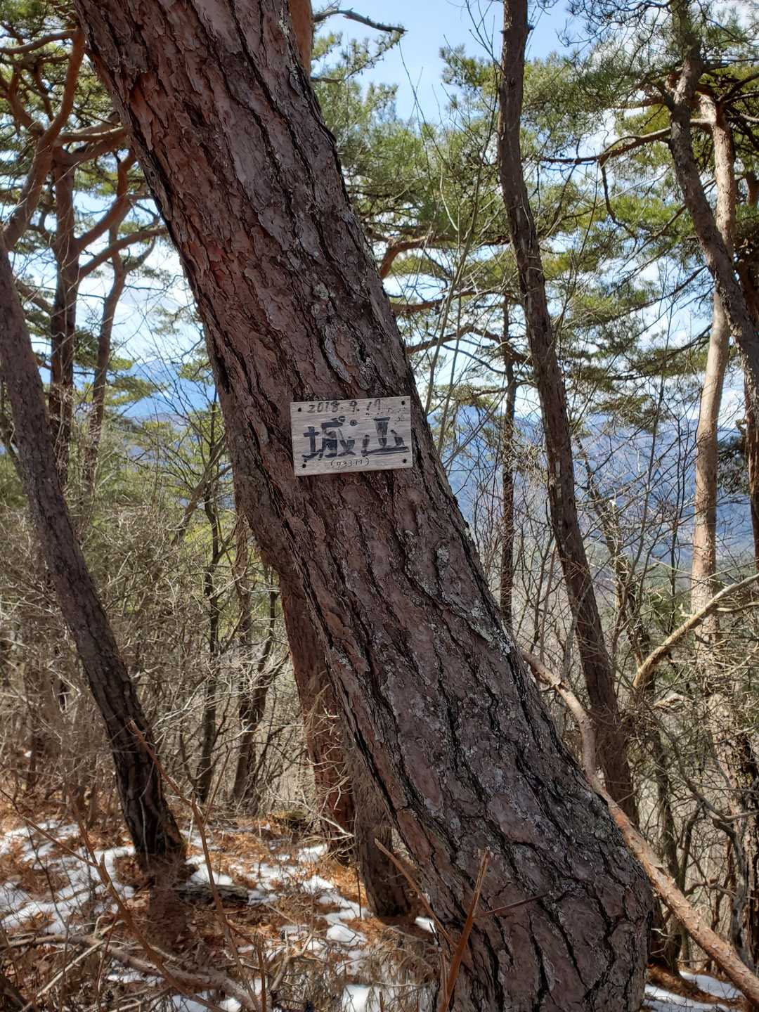 一個目
