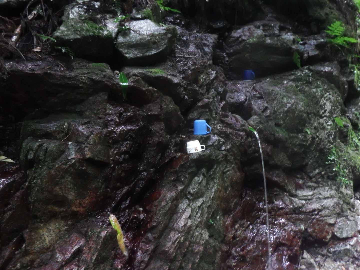 水場..笹の葉っぱ　１つ無くなっています