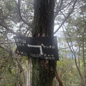 18個目、終了〜