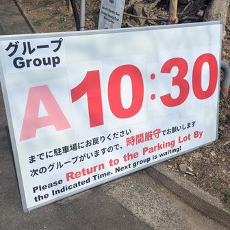 車で駐車場に入るには予約が必要で入れ替え制