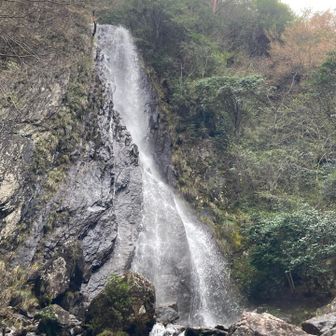 偏妙の滝
十分迫力ある滝ですが、実はまだ上があり、見えている部分は下半分
本当はもっと高さがあるんです👀