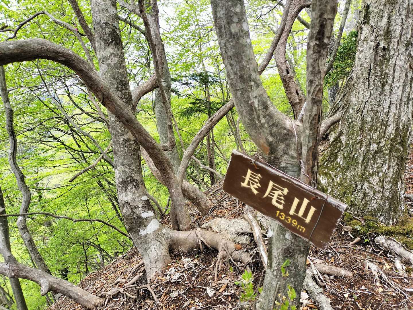 それでもPeakは取ります