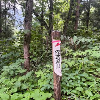 自転車はここまで