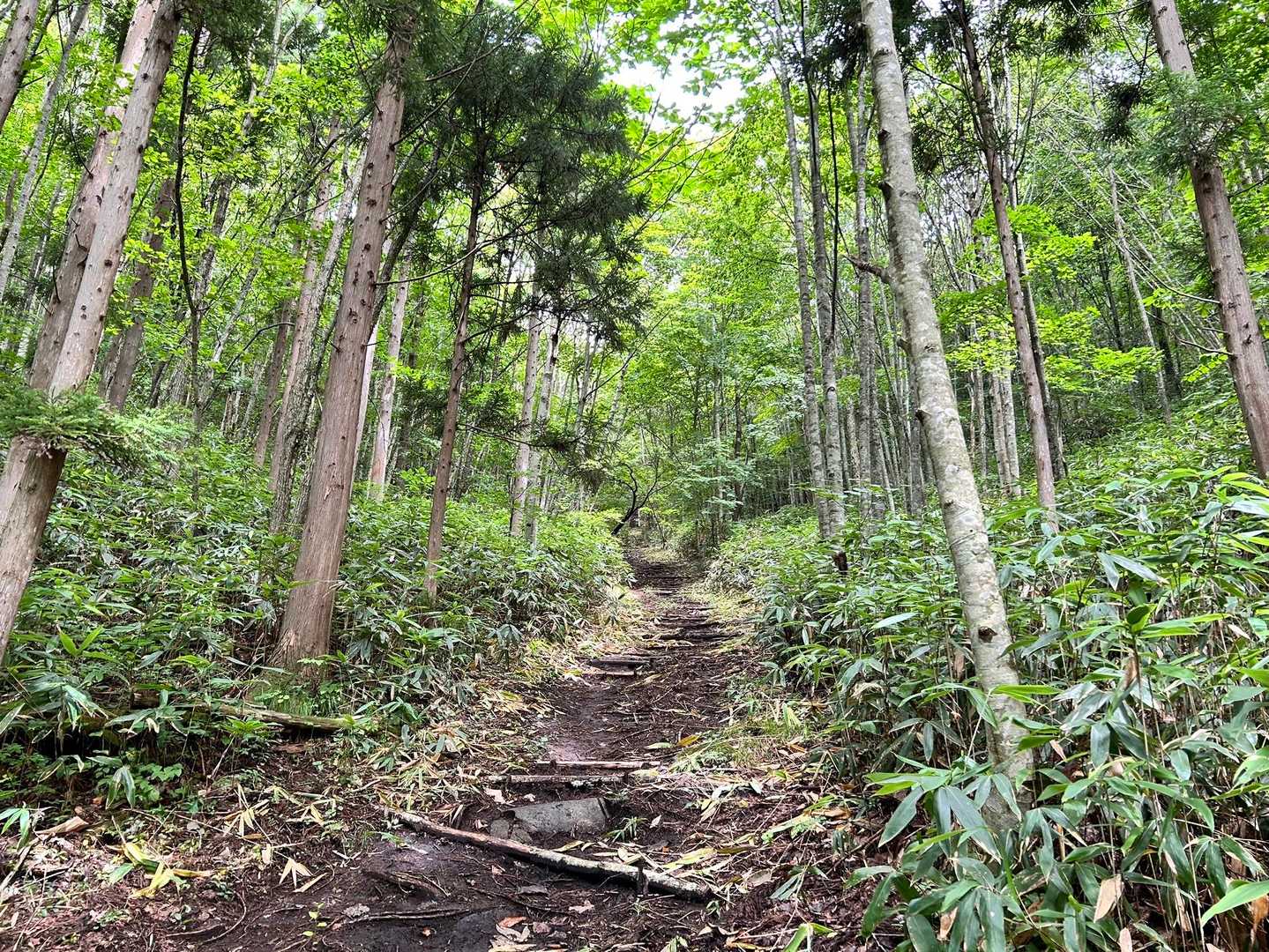 地味にキツい