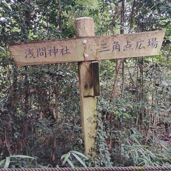 愛宕山 182m

山頂標識を探して
青梅街道方向、浅間神社方向、
何度も行ったり来たり
ウロウロすること20分

最後またお地蔵様に行ってから
分岐点に戻って案内板をみて
やっと気づきました

灯台下暗しとはこのことです😂

山頂標識🌿見えますか？

3つ目のピーク🙌