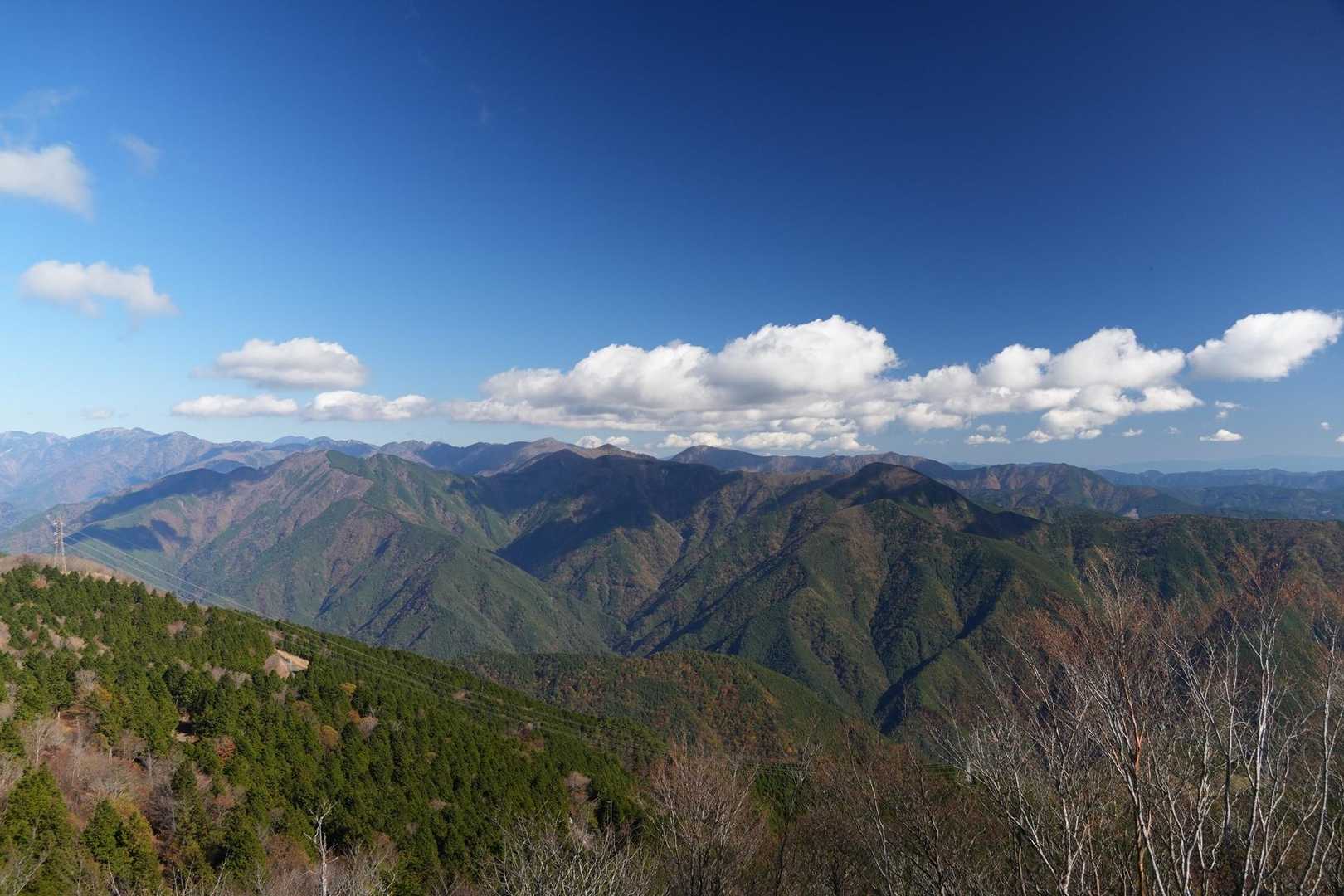 竜頭山 往復コースの写真