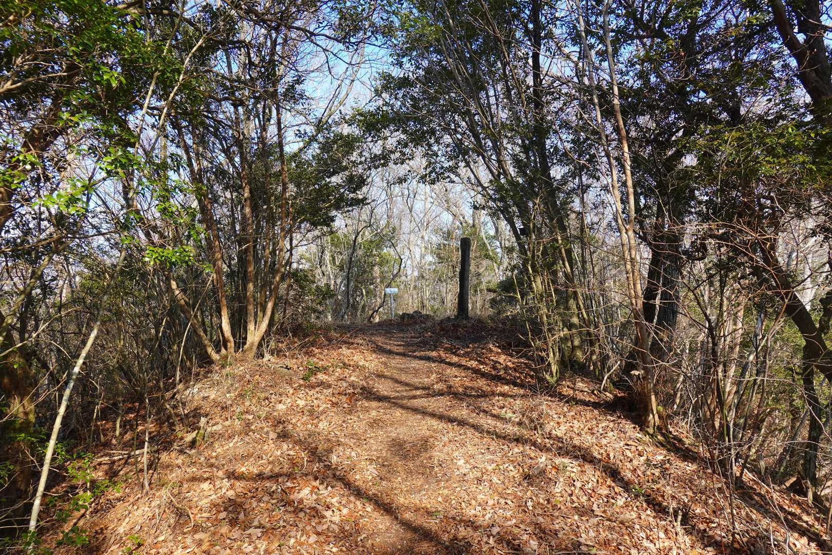 日平山山頂風景