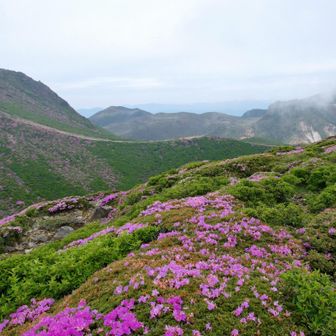 久住山への登山道がよく見えて楽しい道でした😊