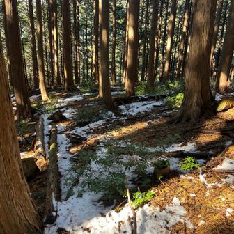 ここから少し雪