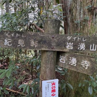 ダイトレに合流‼️