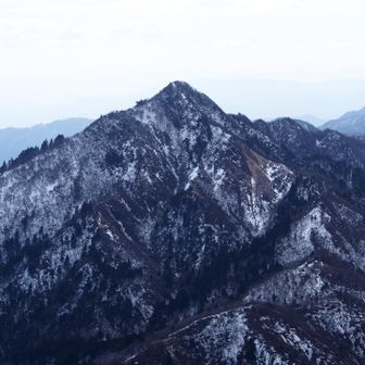 春になったらハルリンドウを見に行こう！