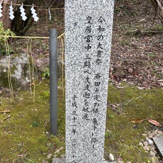 亀卜って令和でもやってたんですね