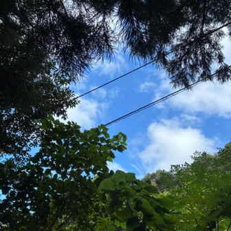 登山口まで戻ると青空が見えてきました