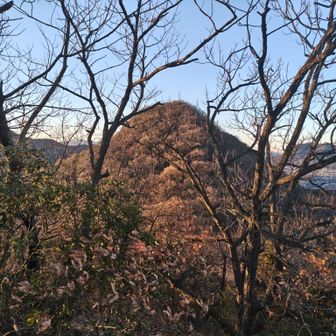 万灯山から見るこの後に登る伽藍山