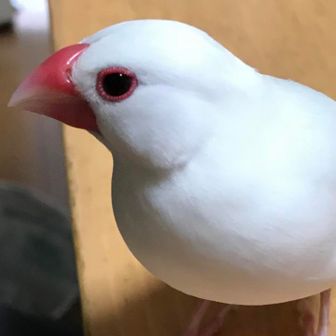 ゆん
