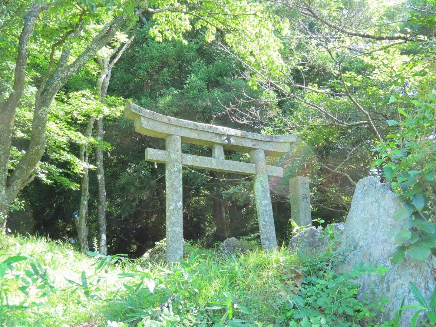 宇津峰 往復コースの写真
