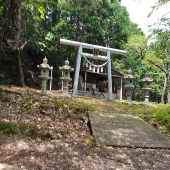 鳥居をくぐって山道ですが、林道をこのまま進んでも同じところに出ます