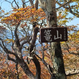篭山山頂