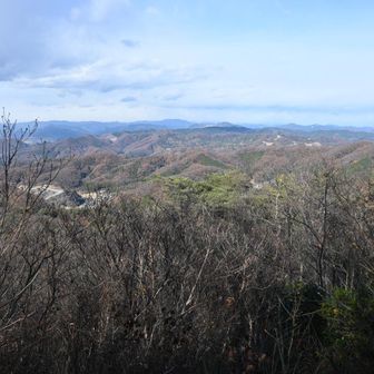 この写真も好きですね😎