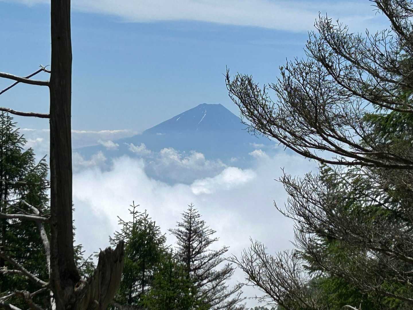 甘利山・千頭星山 | クルマから20分ほどの富士展望峰、鳳凰三山を間近に望む頂への写真