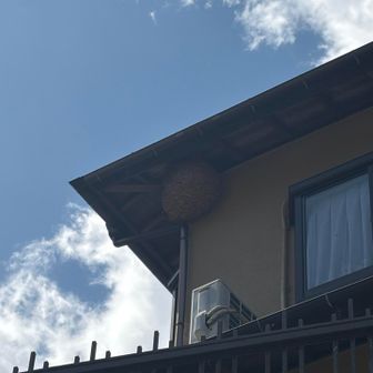 これも2年前なかった。そして過去一、デカいっ！