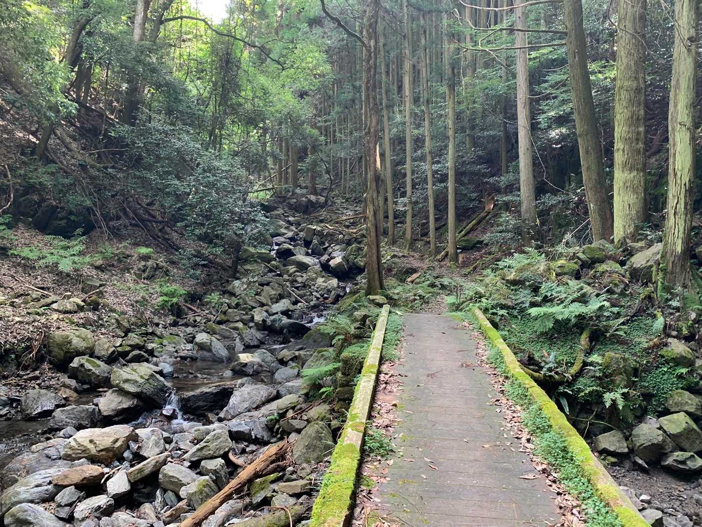 沢沿いなのでずっと涼しい🍃
帰りは水浴び、確定です！