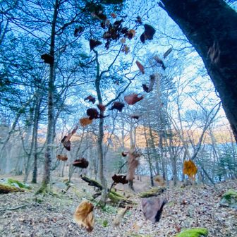 ちょっと演出しちゃいました🍂