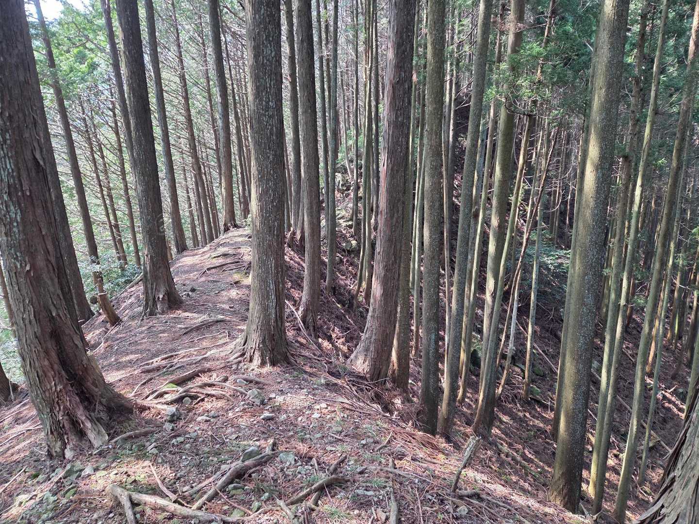 岩稜帯への登り返しはありますが、なかなかよき周回道です。