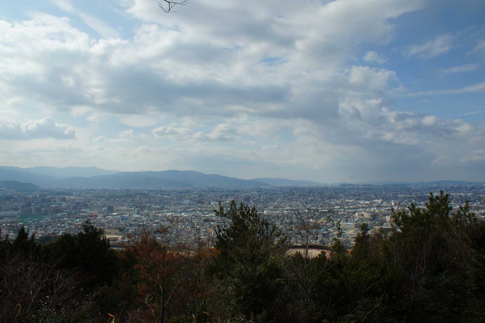 展望所の周囲の草が刈り取られて、スッキリしてます😊
肝心の展望は木が邪魔で、以前と変わらず😅