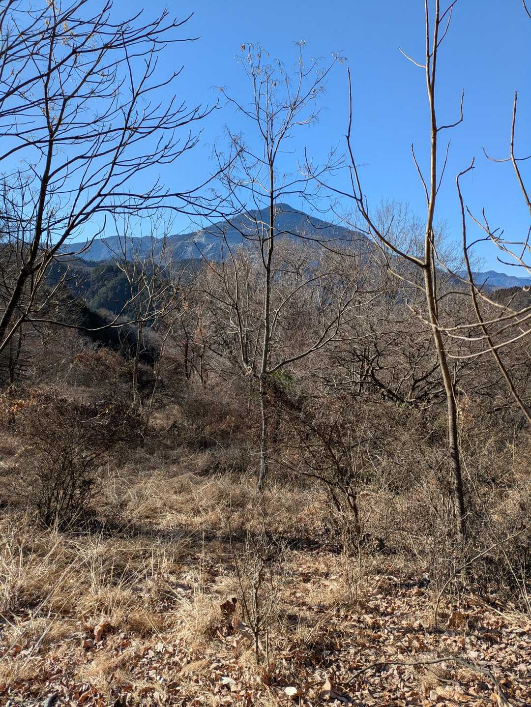 本日　武甲山📸多めです✨🤭