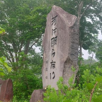 開高健｢河は眠らない｣✨
そうですよね🤣